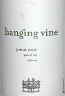 Hanging Vine - Parcel 22 Pinot Noir 2021
