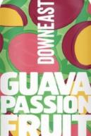Downeast Cider - Guava Passion Fruit 0