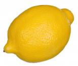 Fresh - Lemons