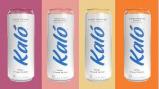 Kalo Hemp Infused Seltzer - Variety Pack #2 0