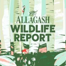 Allagash - Wildlife Report (4 pack cans) (4 pack cans)