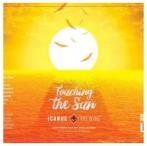 Icarus Brewing - Touching The Sun 0 (44)