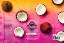 Icarus Brewing - Invincible Summer (4 pack cans) (4 pack cans)