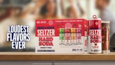 Anheuser-Busch - Bud Light Seltzer Hard Soda Variety (12 pack 12oz cans) (12 pack 12oz cans)